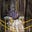 Ubiquitous Particularity's avatar