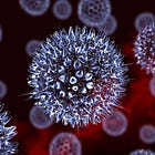 Mike Donio, MS: Through the Eyes of a Virologist