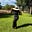 RamblingCat's avatar