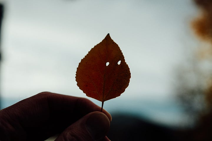 Tyler Knott Gregson Fuji photographs of a life in Helena, MT