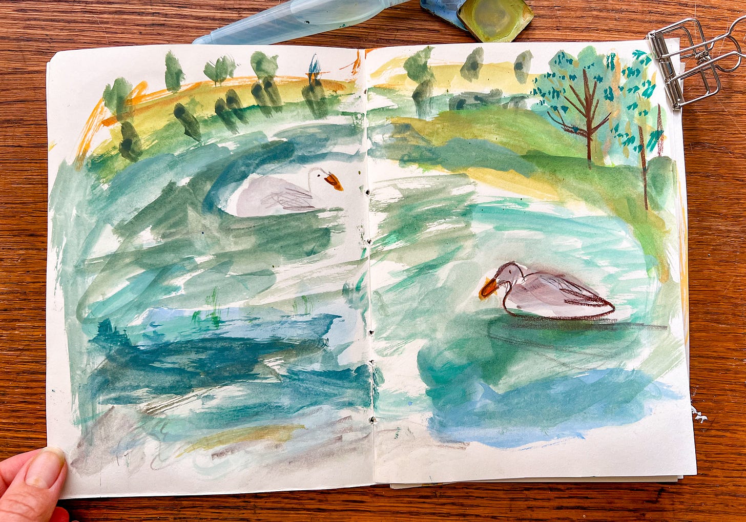 pond illustration with ducks by Beth Spencer pond illustration with ducks by Beth Spencer