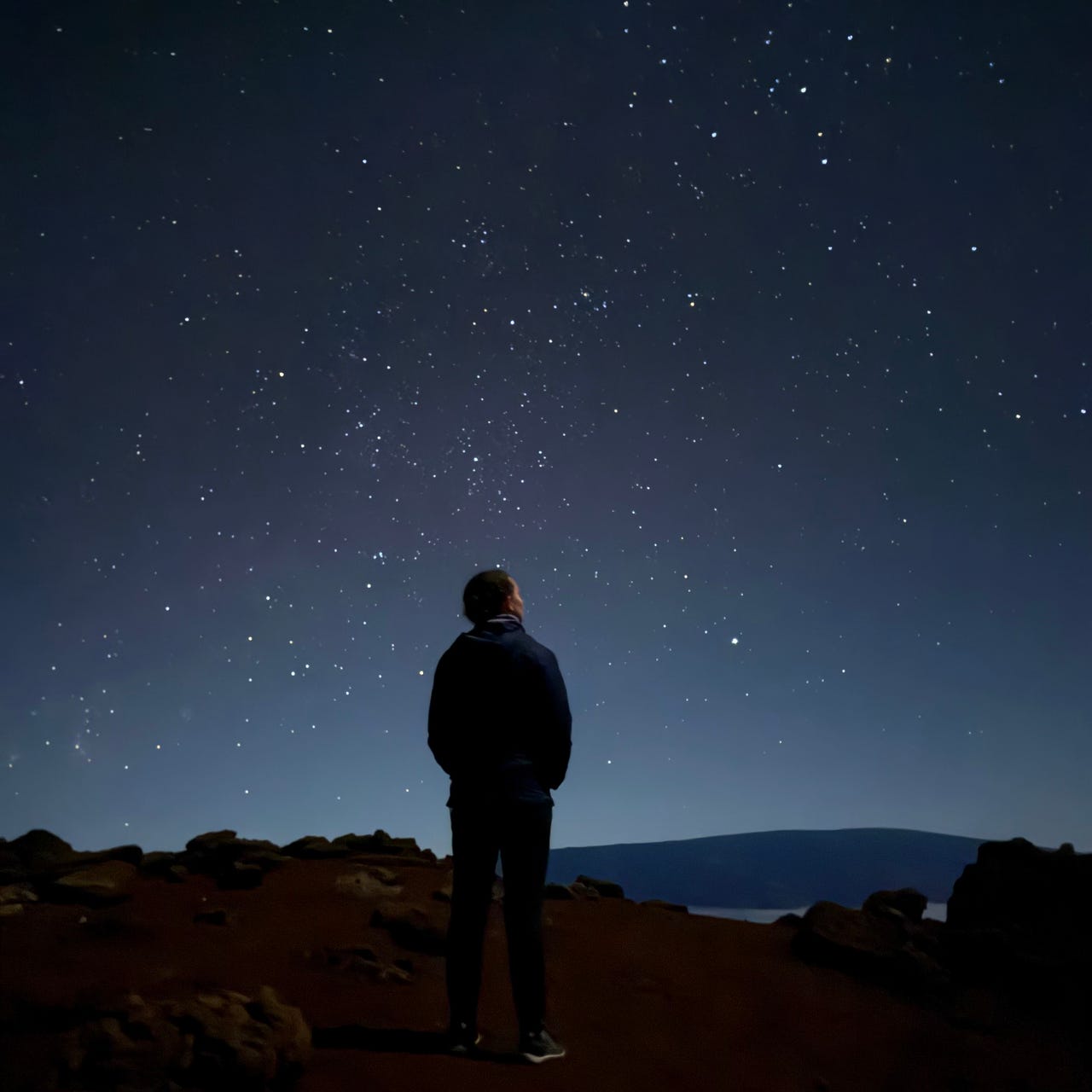 See You in the Stars