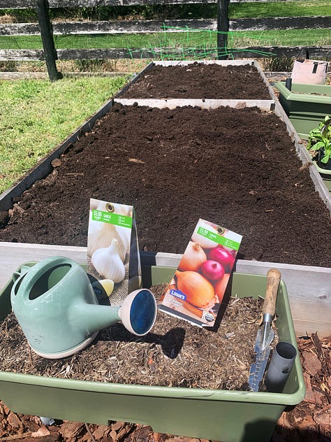 Three photos showing newly mulched raised garden bed, ready to plant; a view of newly emerging onion sets; and Stephen installing tomato supports in a fully planted garden.
