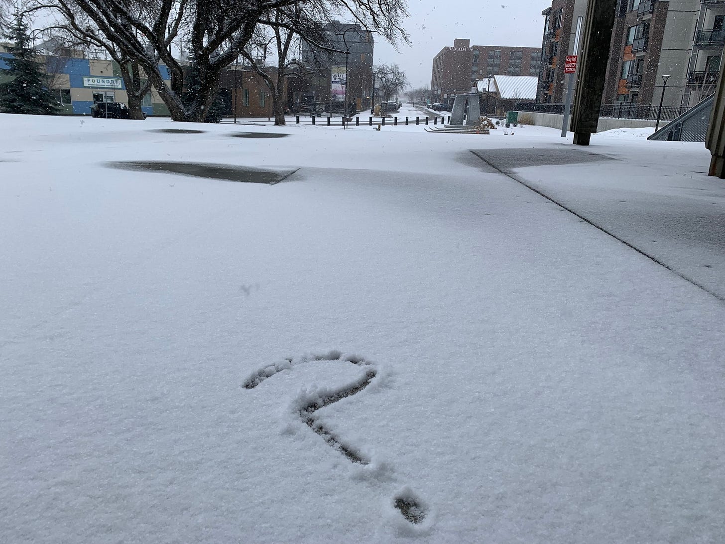 May be an image of snowball, arctic and text