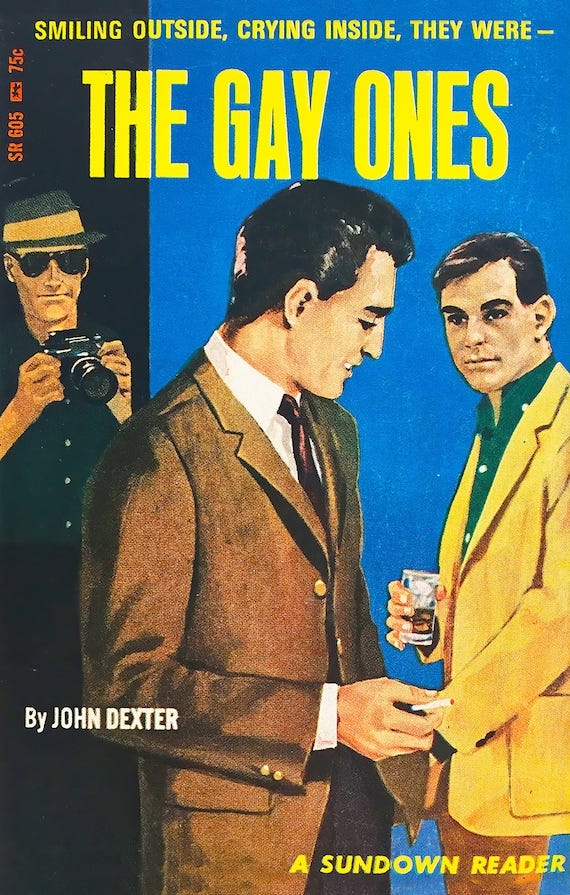 Vintage Erotic Pulp Poster - the Gay Ones - Etsy