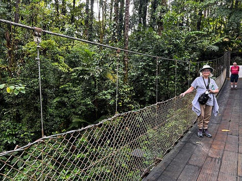 Images from the rainforest.