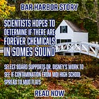 SCIENTISTS HOPE TO DETERMINE IF THERE ARE FOREVER CHEMICALS IN SOMES SOUND