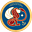 Leonine Institute's avatar