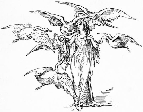 The Six Swans