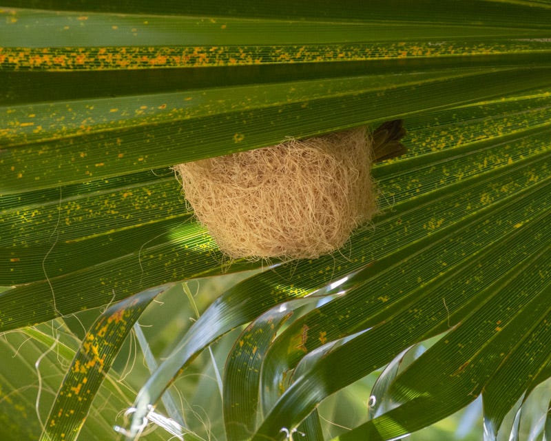 20180524_ACP-60.jpg 20180524_ACP-60.jpg