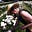 Garden Bliss's avatar