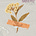 Joshua Enya's avatar