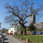 66. Meavy Oak 