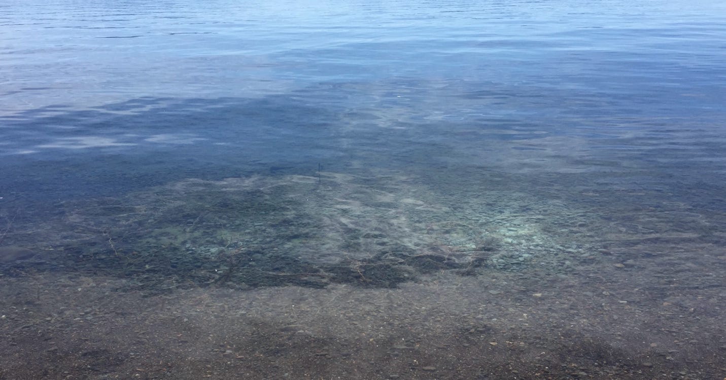 A body of water with a sandy beach

AI-generated content may be incorrect.