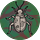 Beetle Byte