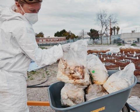woman with n-95 mask handles bags in wheelbarrow