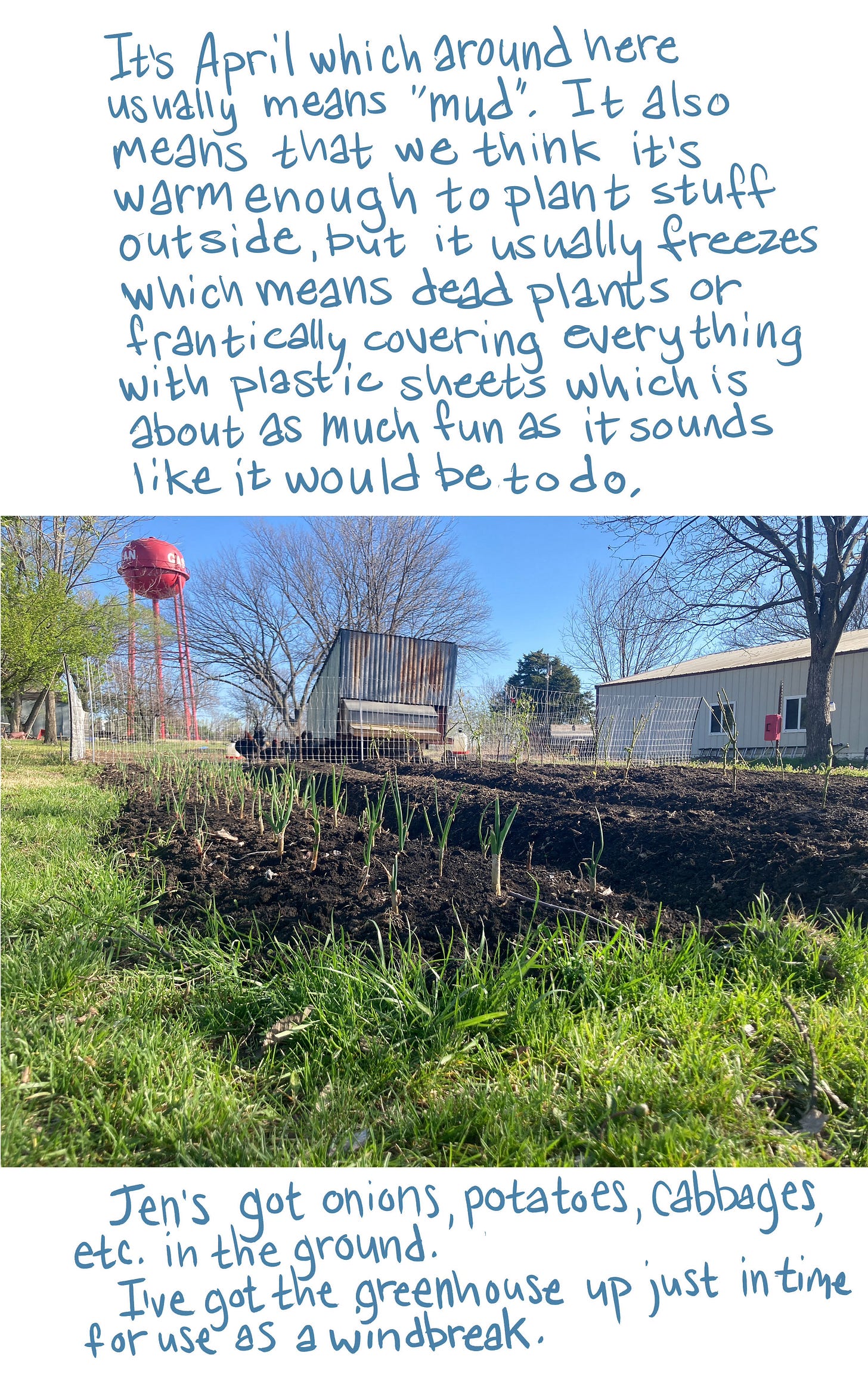 backyard farm