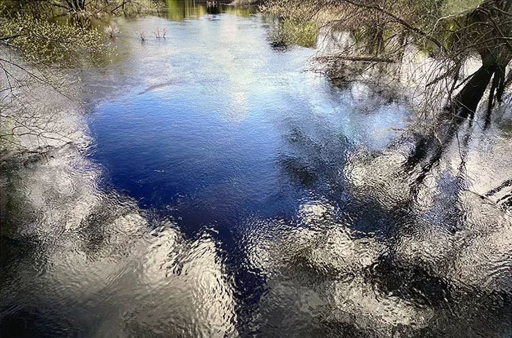 A picture containing outdoor, nature, pond

Description automatically generated