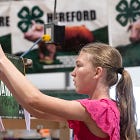 More scenes from the 2026 Tippecanoe County 4-H Fair