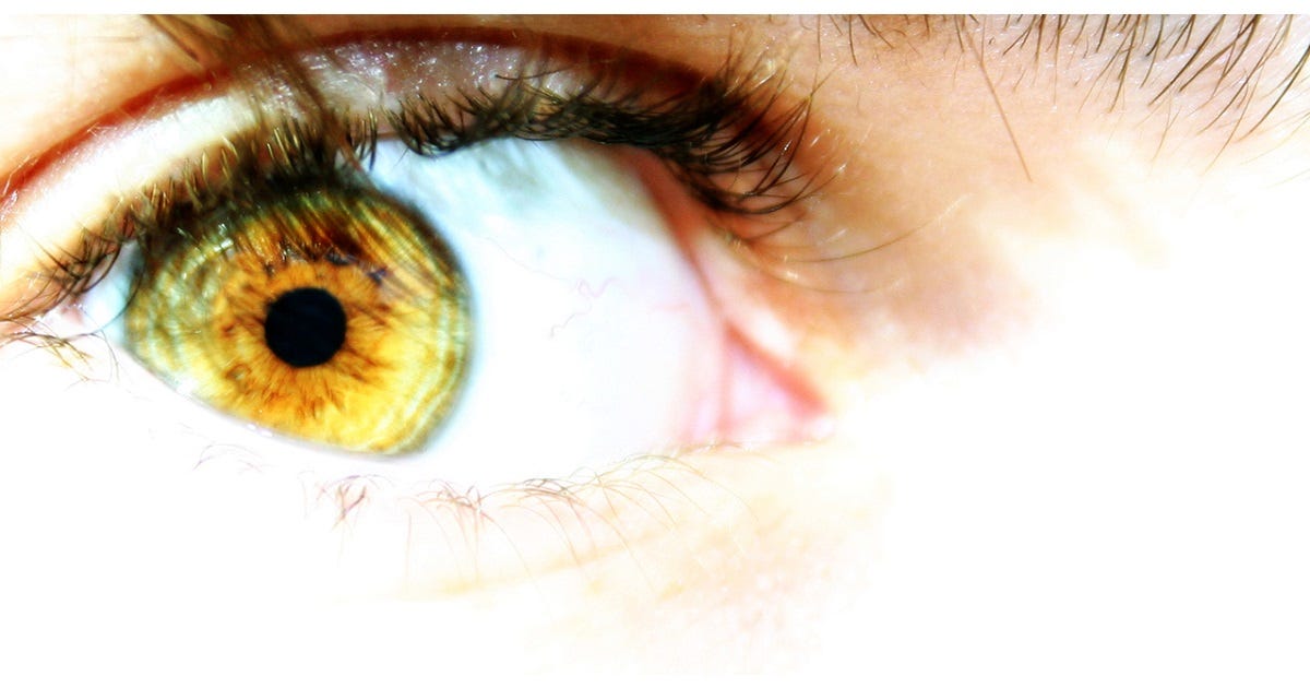 Photo by Mark Cabrera from FreeImages