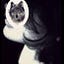 User's avatar