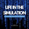 Life in the Simulation
