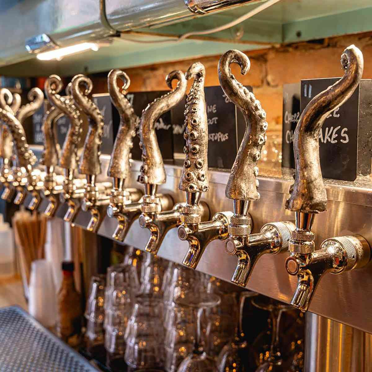 Spotted Octopus Brewing Co Spotted Octopus Brewing Co