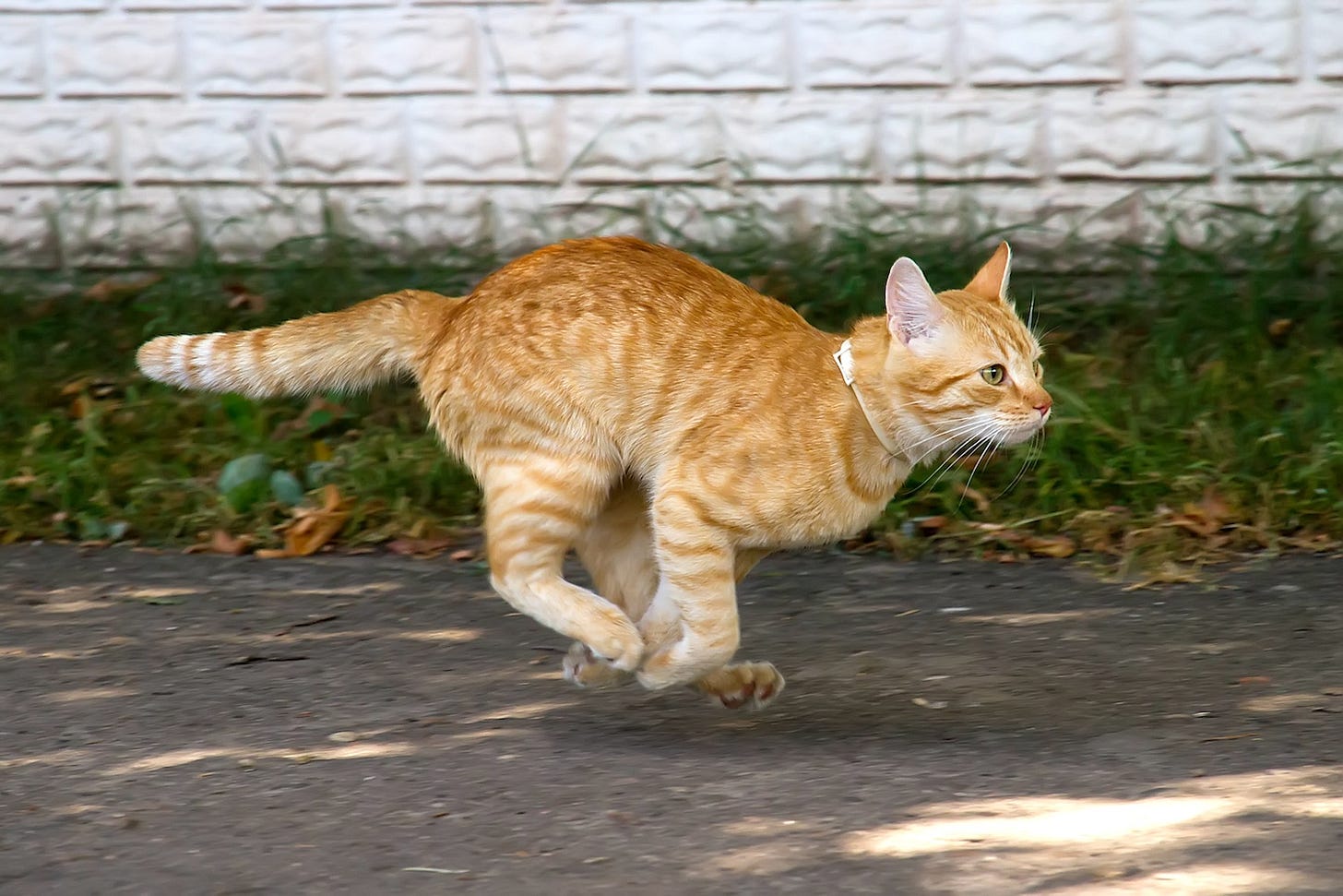 Image: pudiq / shutterstock.com