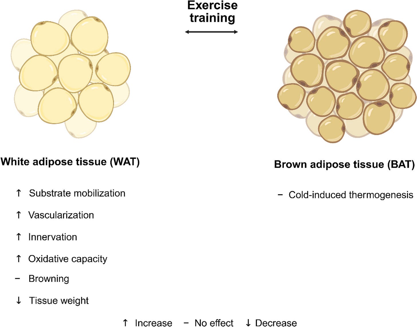 Fig. 4 Fig. 4