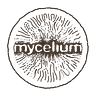 Connecting the Dots