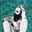 Scott E. Crain's avatar