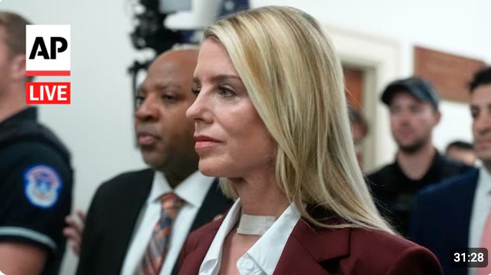 Image of Bondi wearing neck bandage