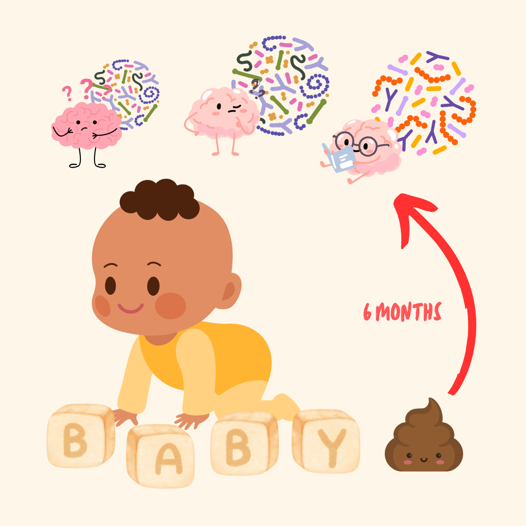 What the Gut’s First Residents Say About Baby’s Brain Health