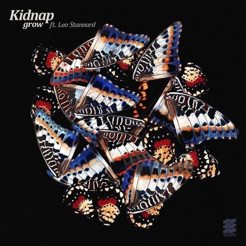 Cover art for Grow by Kidnap