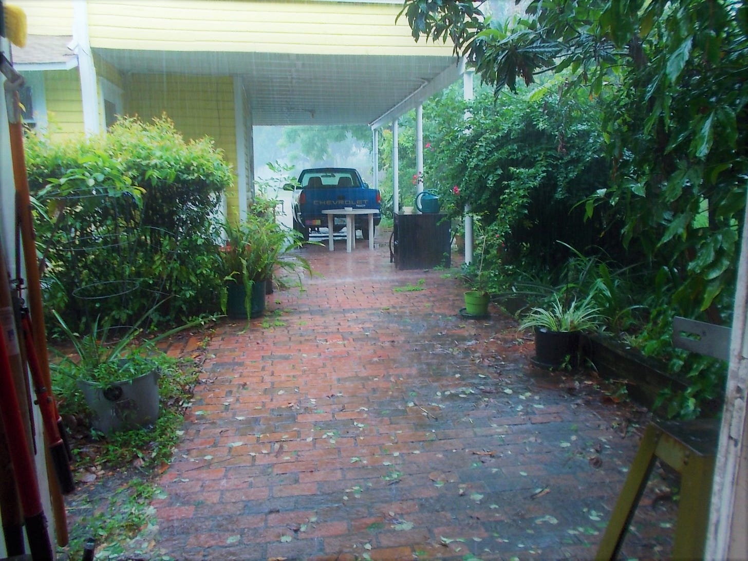 View from the workshop.