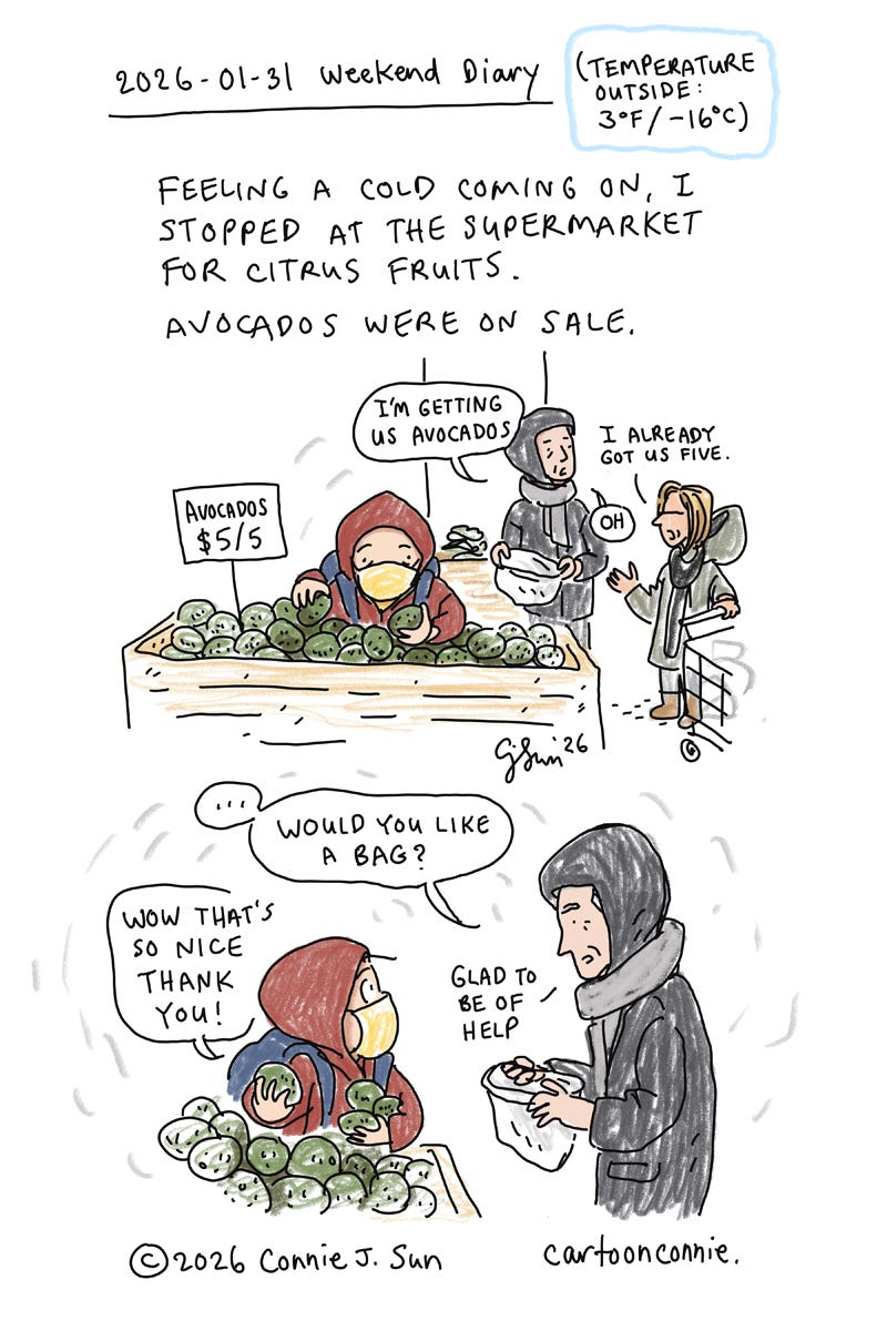 Art description: 2-panel sketchbook page of a New York City scene, illustrating a brief interaction between the cartoonist and a stranger at the supermarket, while she's buying avocados in winter. Original artwork by Connie Sun, cartoonconnie, 2026. Art description: 2-panel sketchbook page of a New York City scene, illustrating a brief interaction between the cartoonist and a stranger at the supermarket, while she's buying avocados in winter. Original artwork by Connie Sun, cartoonconnie, 2026.