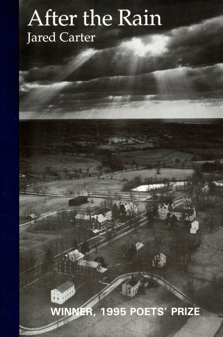 Carter - After the Rain.jpg