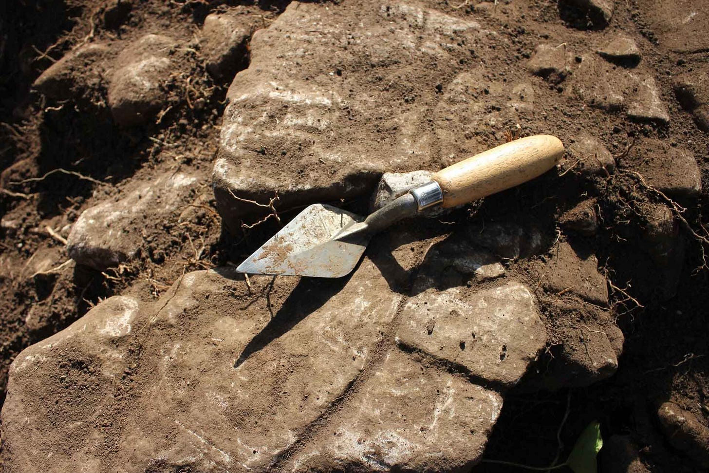 An archaeological trowel on a rock and soil surface