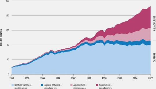A graph showing the growth of a company

AI-generated content may be incorrect.