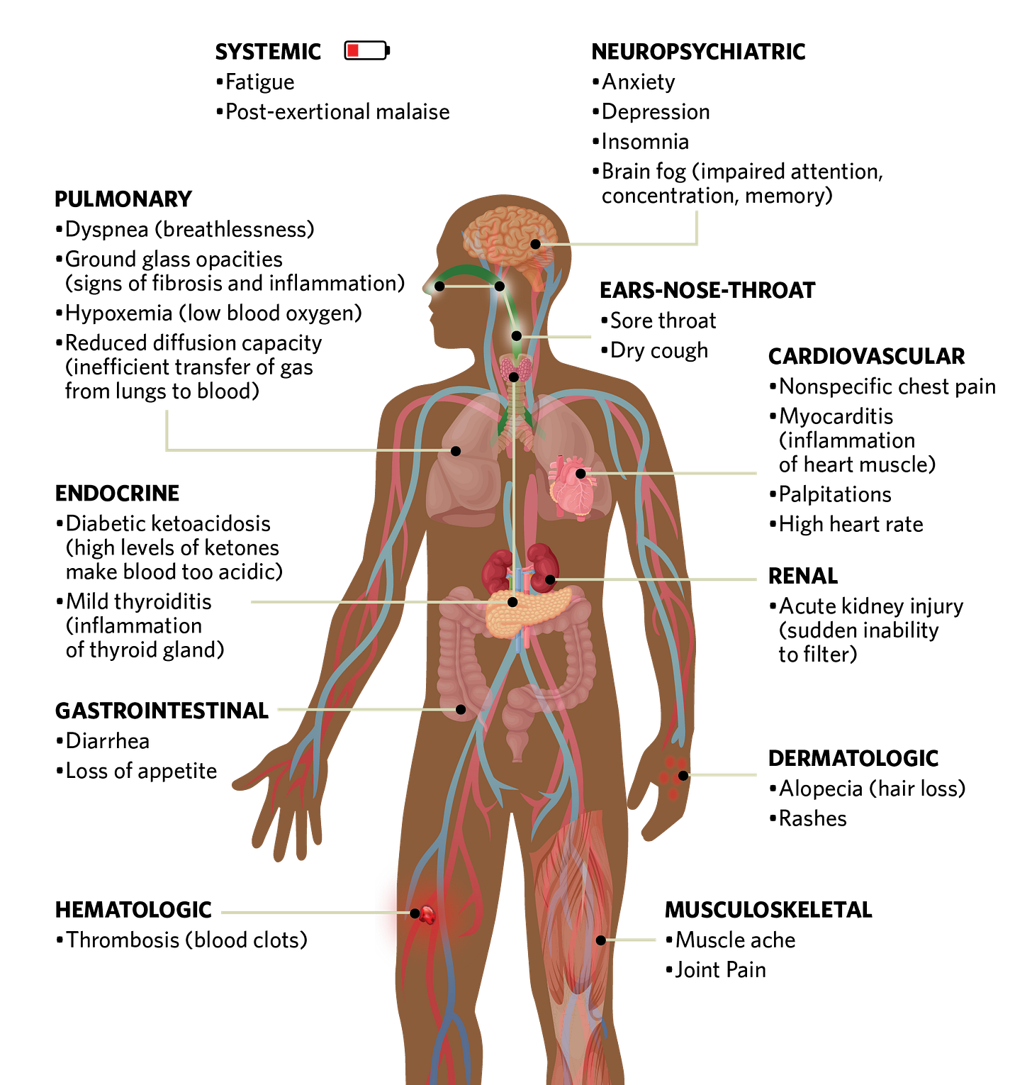 Mechanisms of Long COVID Remain Unknown but Data Are Rolling In | The  Scientist Magazine®