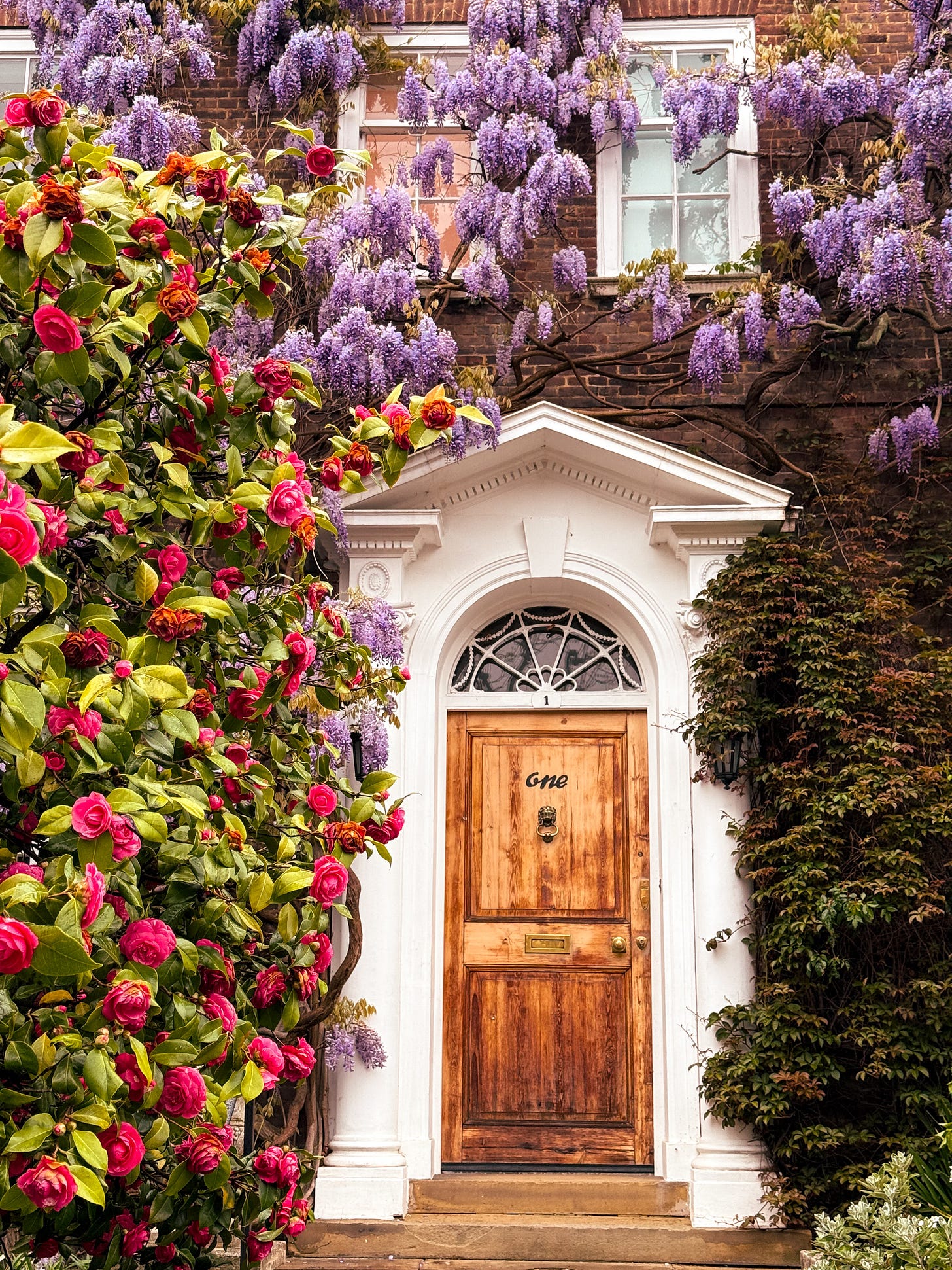 Wisteria Season in London: A Slow Walk Through the Most Beautiful Streets  Right Now