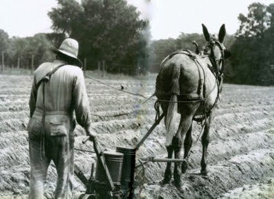 Image result for 40 acres and a mule