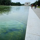 American cesspool