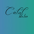 Calul Journal's avatar