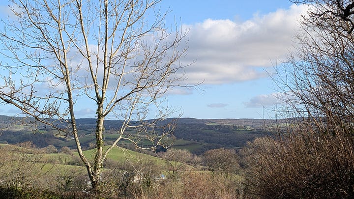 Landscapes and Devon hedgerows