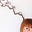 Wendy-Ann's avatar
