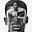 Freeman's avatar