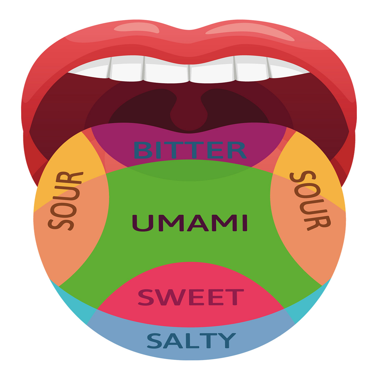 What is Umami - Dried Shiitake mushroom What is Umami - Dried Shiitake mushroom