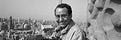Yasser Elsheshtawy