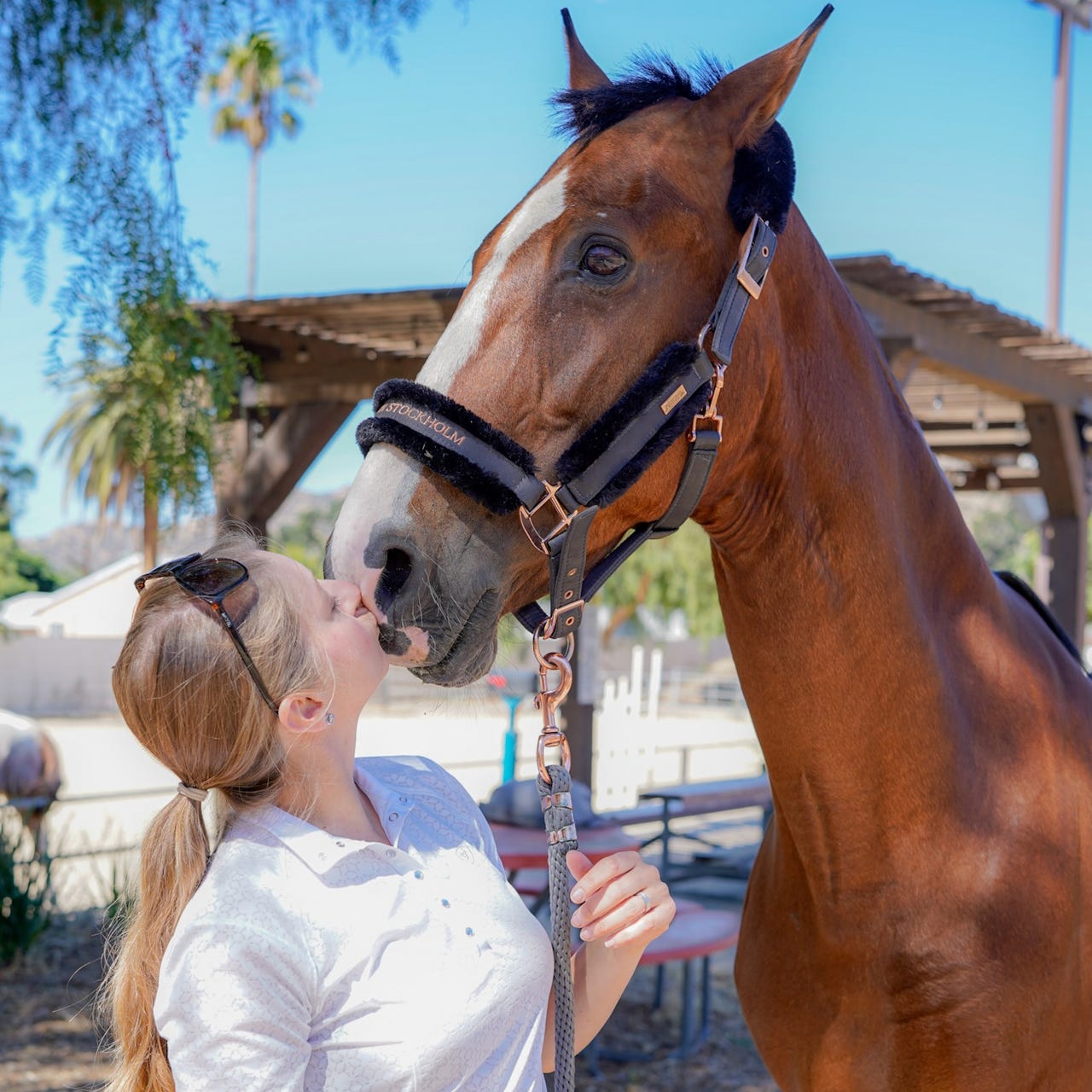 The Scientific Equestrian